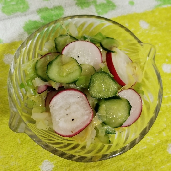 ラディッシュと野菜のピクルス